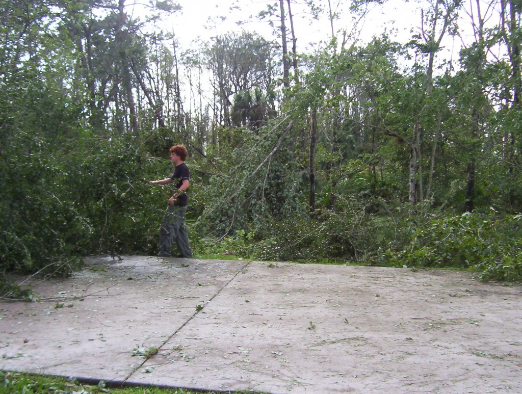 David's tree removal service